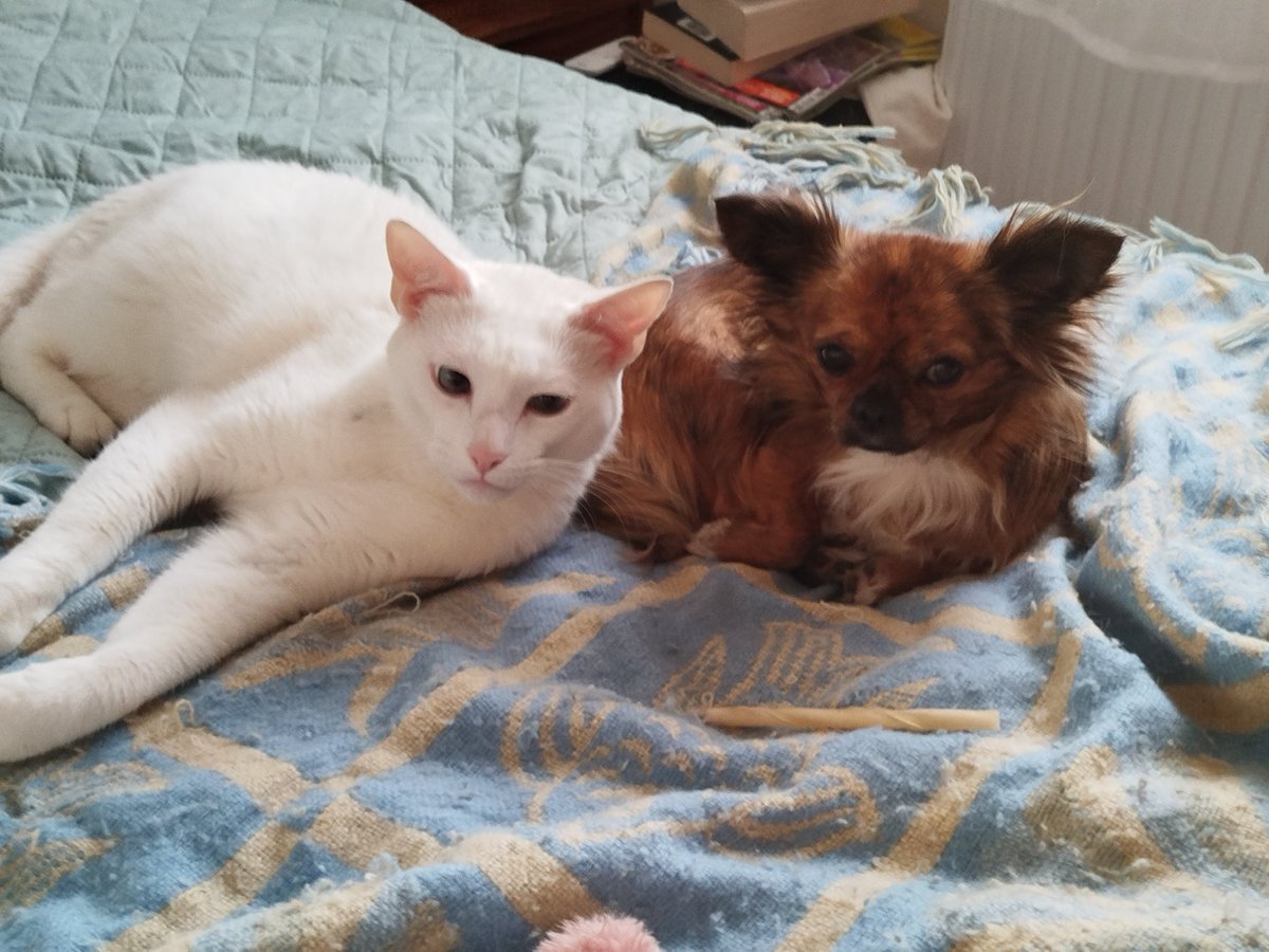Carafifi's tweet photo. On se ème tu lé 2💕 https://t.co/hindfI0bar