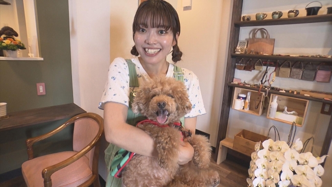 ATV わっち!! (@atv_wacchi) / Posts / X