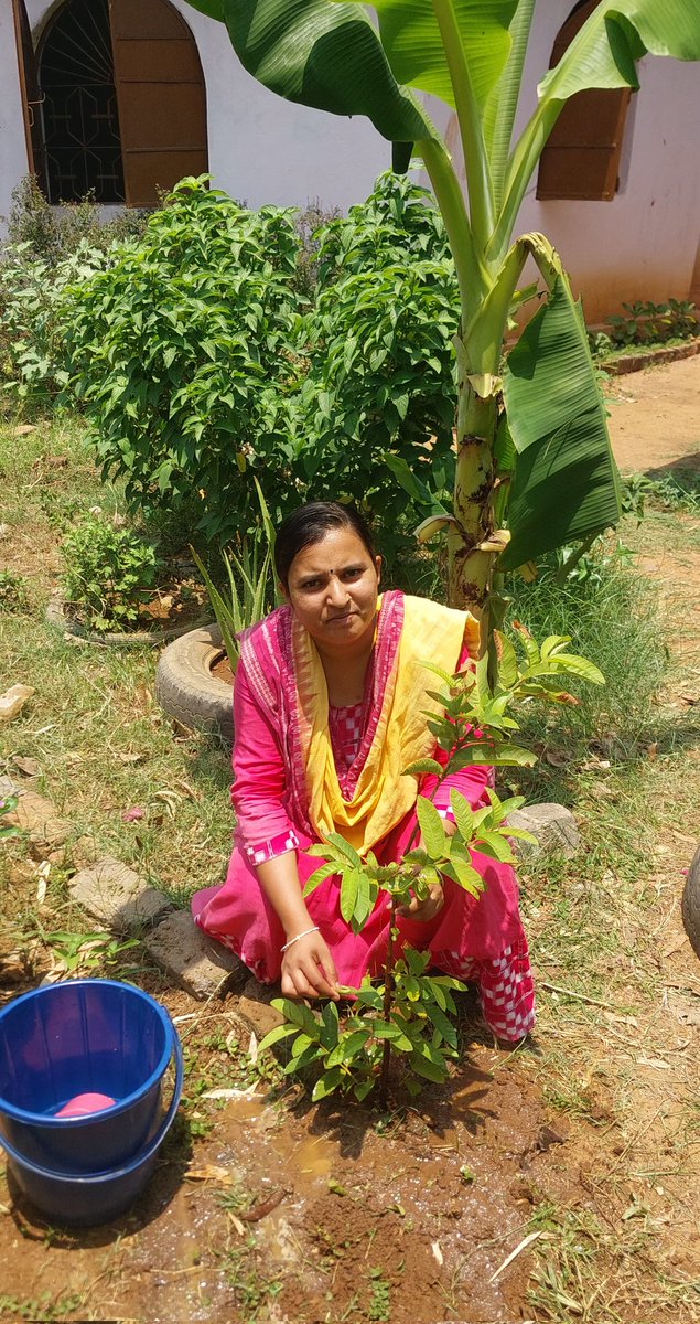 LipaBiswal1's tweet photo. #WorldEnvironmentDay
OUR ENVIRONMENT //OUR HEALTH // OUR FUTURE 
Let's save our ENVIRONMENT 
@WCDOdisha @mealokpatel @CollectorBgr @MinistryWCD https://t.co/80jhXXFqZA