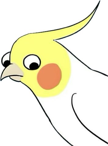 . tweet media