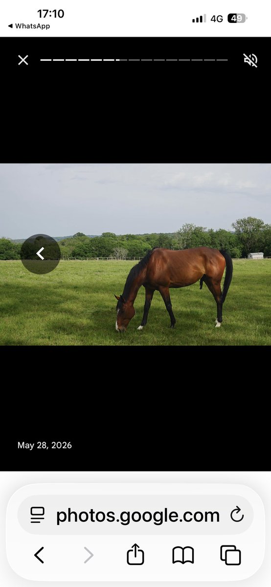Chrisgordonrac1's tweet photo. More summer holiday photos 
@chrisgordon68 
@betgoodwinuk 
@EQFencing https://t.co/XmeeAGMjqZ