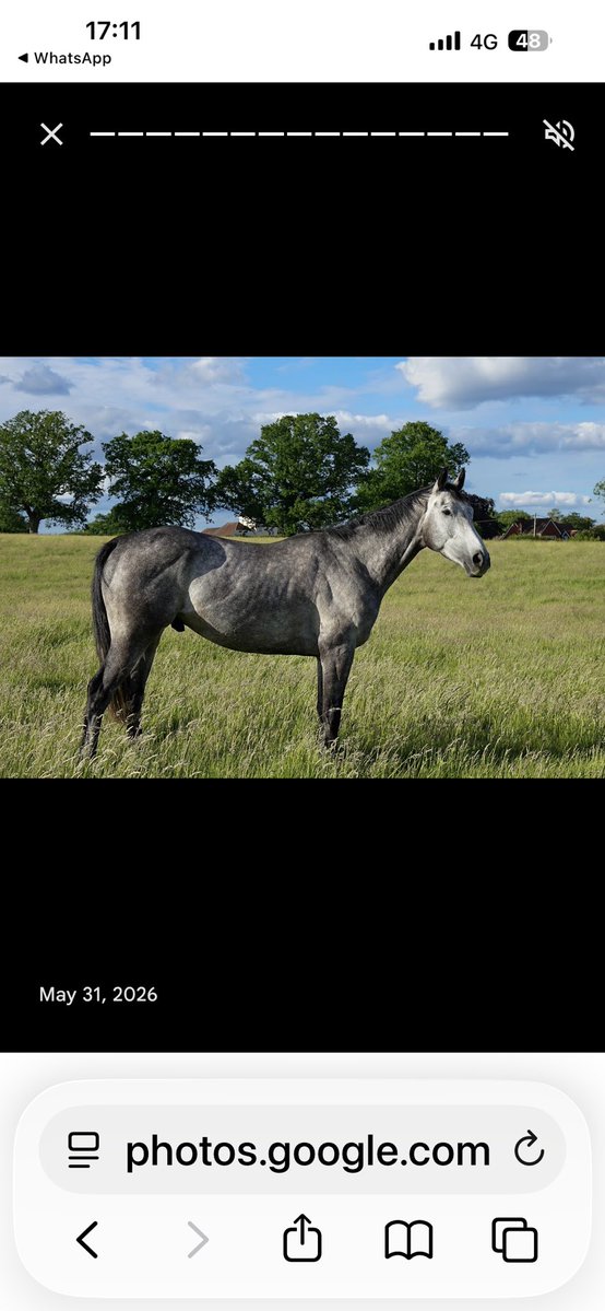 Chrisgordonrac1's tweet photo. More summer holiday photos 
@chrisgordon68 
@betgoodwinuk 
@EQFencing https://t.co/XmeeAGMjqZ