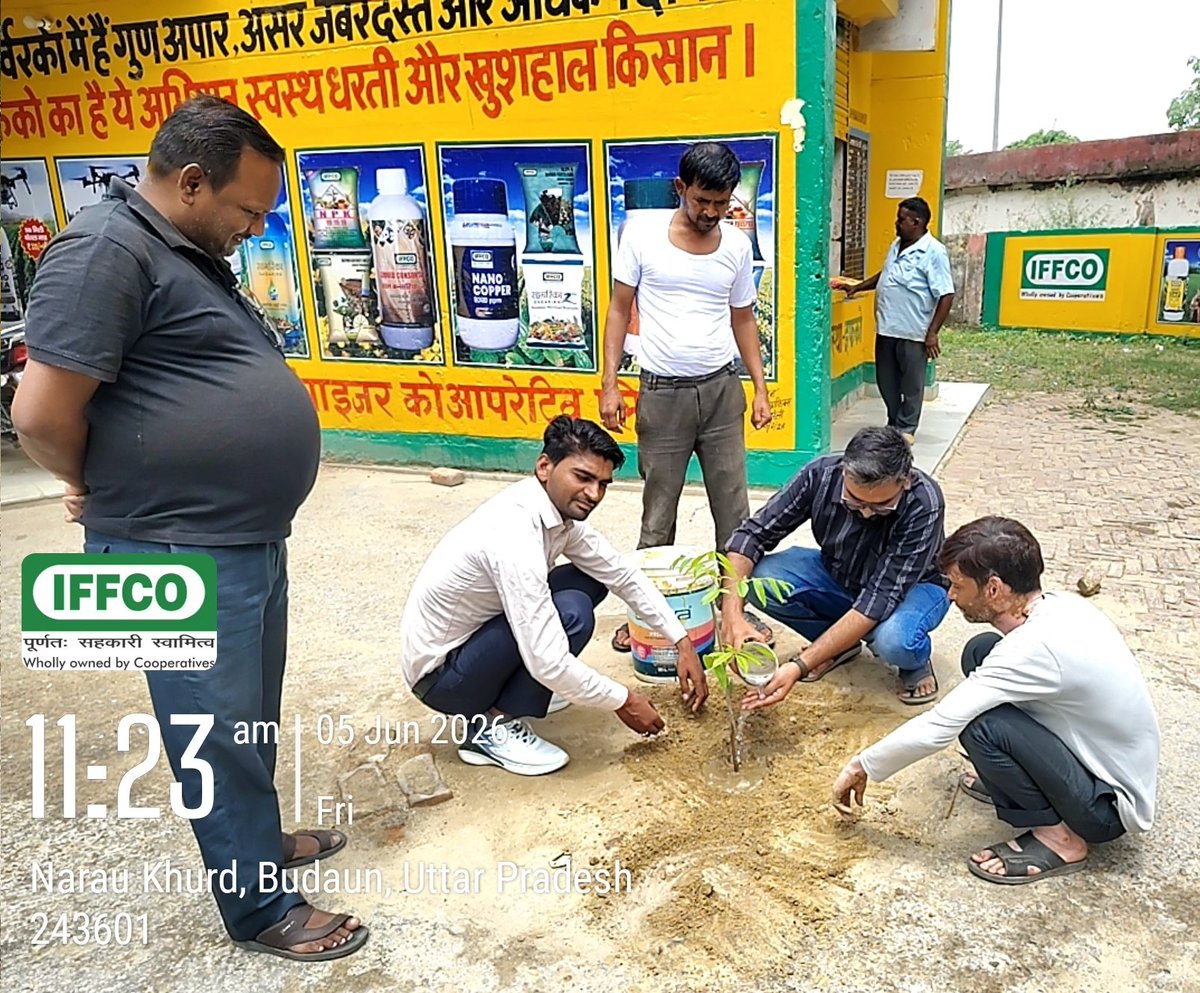 DrAnilKumarYad1's tweet photo. जनपद बदायूं 05 जून 2026  विश्व पर्यावरण दिवस के शुभ अवसर इफको किसान सेवा केन्द्र मंडी समिति बदायूं पर वृक्षारोपण किया गया।
@IFFCO_UP @IFFCO_Coop https://t.co/6ZPp65COrA