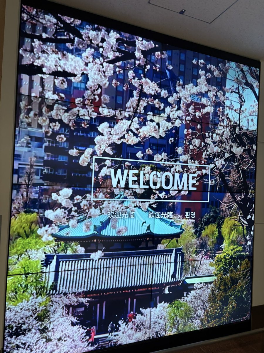 koichi76357's tweet photo. 私は帰ってきたー！

台風で6\3便が欠航して、2日ほど長居しちゃいましたw https://t.co/akIq8GLNWC