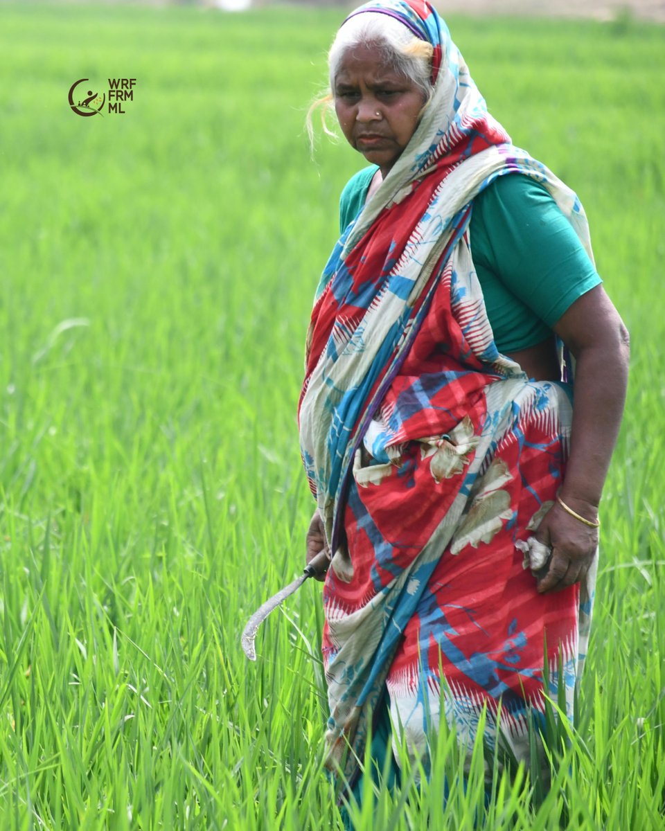 WorldRuralForum's tweet photo. On this #WorldEnvironmentDay, we remember that caring for the planet also means supporting those who know, work and protect the land every day. https://t.co/JVKzIppJIp
