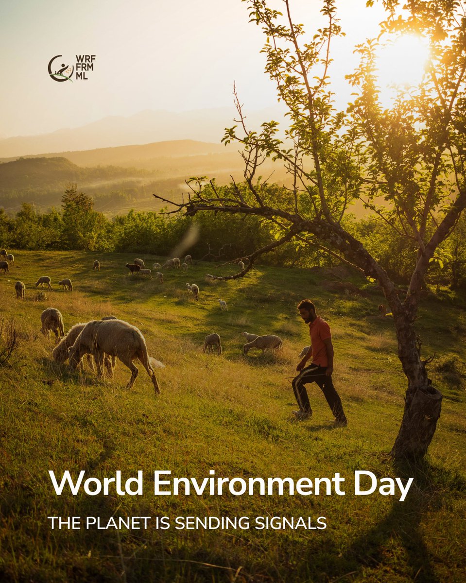 WorldRuralForum's tweet photo. On this #WorldEnvironmentDay, we remember that caring for the planet also means supporting those who know, work and protect the land every day. https://t.co/JVKzIppJIp