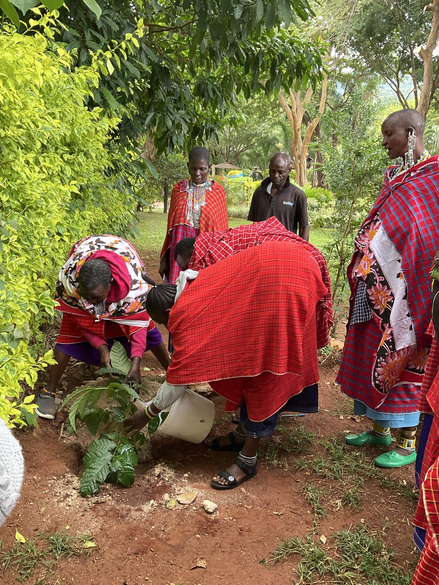 mulenkei's tweet photo. Happy World Environment day taking action for Climate our different Women, Youth and elders celebrating this day with activities planting trees from Naiboisho  EretoB &amp; Osiris TZ to Olerai,Melissa in Transmara discussing and taking action to cool the Climate https://t.co/xjpZG23uKA