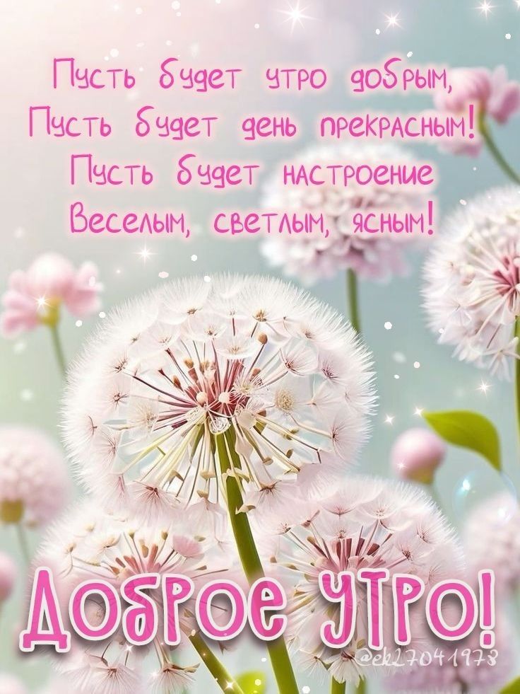 BusuevaG's tweet photo. @Lyubov60967305 Доброе утро, Люба! https://t.co/jniTaKSSf3