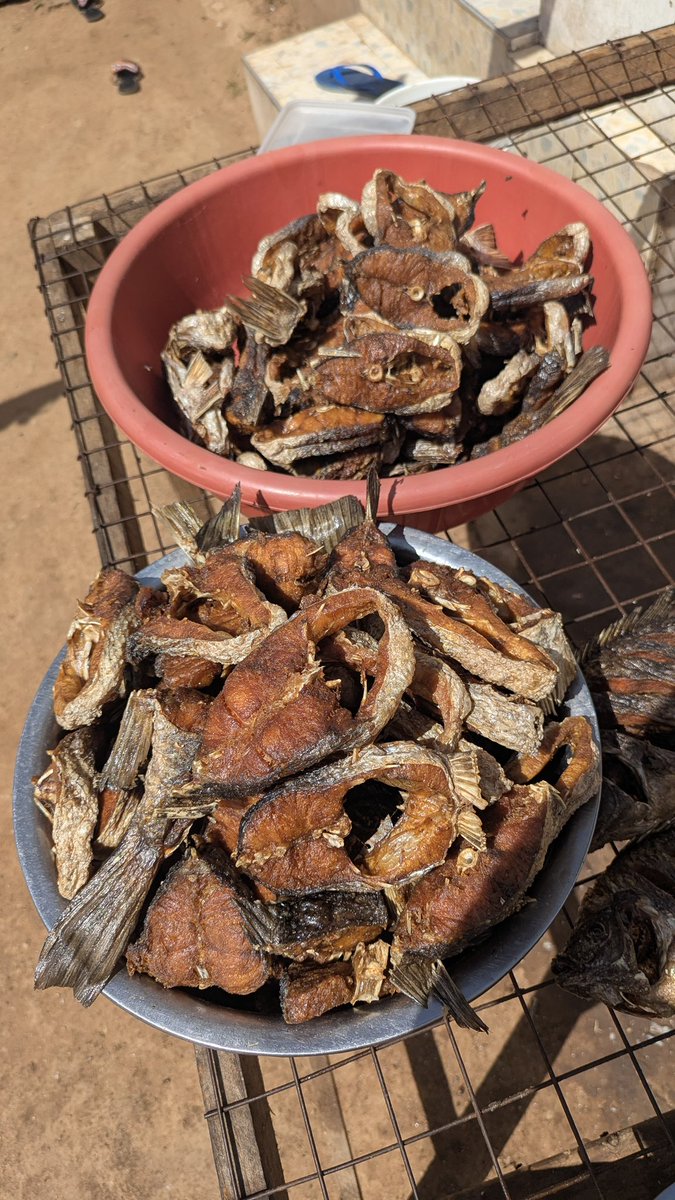MarekaMalili's tweet photo. Watoto wapo Likizo, wengine wametoka Boarding, huna uhakika na Lishe wamepata karibu miezi 3-6.
Muda ni sasa wewe kama mzazi kucheza part yako, mpira upo kwenye court yake.
Nami nitakusaidia kusambaza Lishe babu Kubwa. https://t.co/lVtQLgdnuS