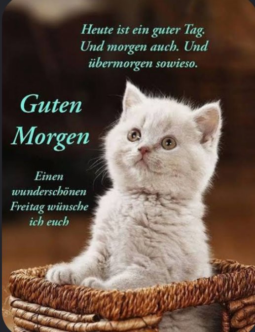 Spatzel8's tweet photo. Schönen guten Morgen ☕️ https://t.co/ObZfP4xvxu