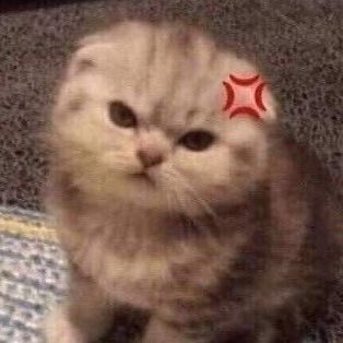 mecrushonhim's tweet photo. 😾💢 #ppkritt https://t.co/Qsq6UWBxwF