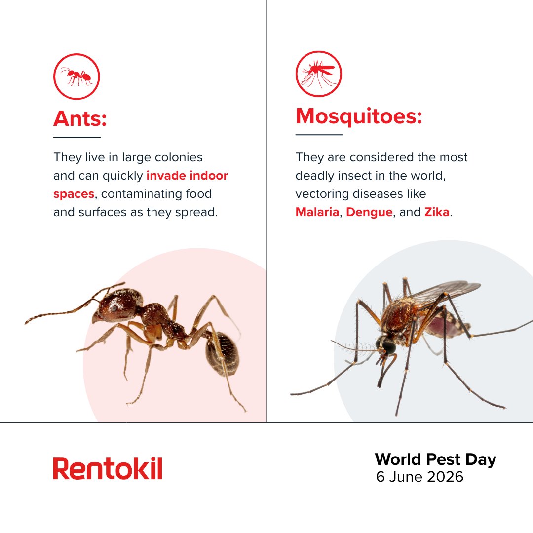 RentokilInitial's tweet photo. This #WorldPestDay, we are spreading awareness about the link between pest management and health. A massive thank you to the technicians around the world who work tirelessly to keep our hospitals, schools, and homes safe. https://t.co/FwbjdTAfsW