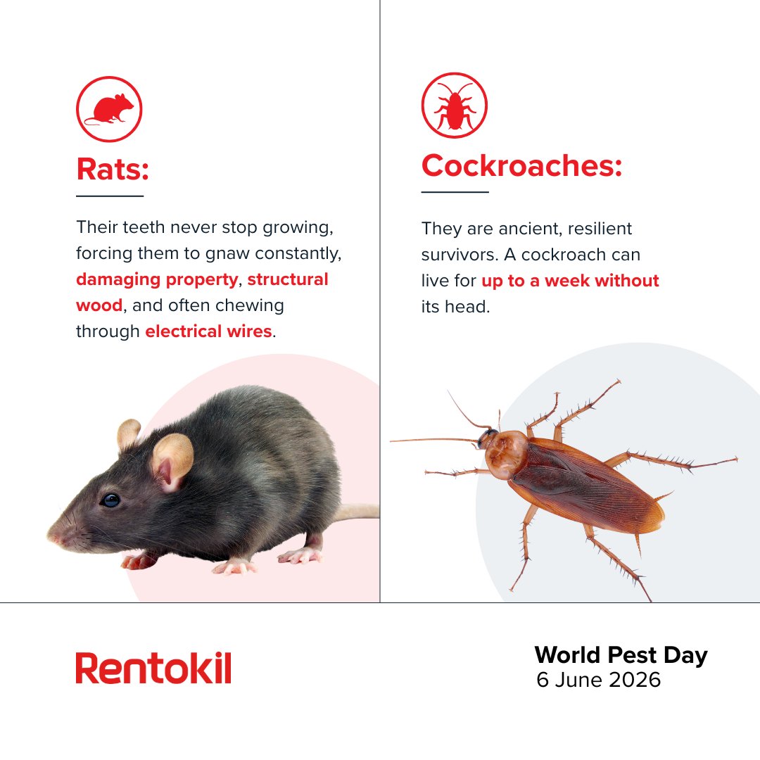 RentokilInitial's tweet photo. This #WorldPestDay, we are spreading awareness about the link between pest management and health. A massive thank you to the technicians around the world who work tirelessly to keep our hospitals, schools, and homes safe. https://t.co/FwbjdTAfsW