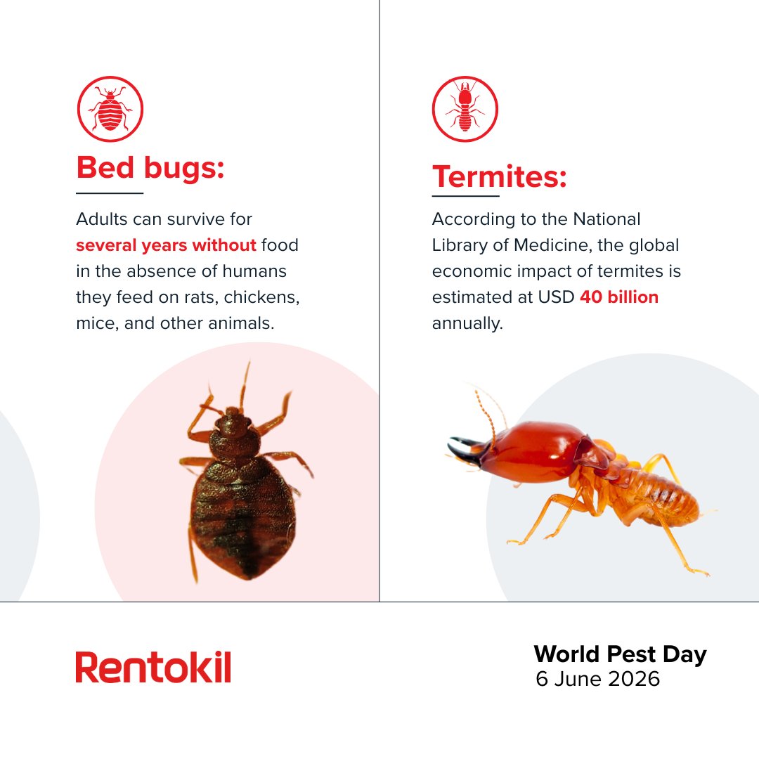 RentokilInitial's tweet photo. This #WorldPestDay, we are spreading awareness about the link between pest management and health. A massive thank you to the technicians around the world who work tirelessly to keep our hospitals, schools, and homes safe. https://t.co/FwbjdTAfsW