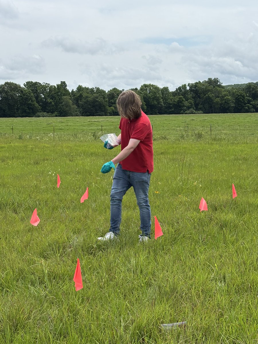 AginArk's tweet photo. FRESH FACES
Chances are good that the fresh faces in your local @AR_extension office might be our summer #interns! 
Please welcome them as they learn essential career skills.
https://t.co/Am6J7w2eNv https://t.co/cmThCPE5uM