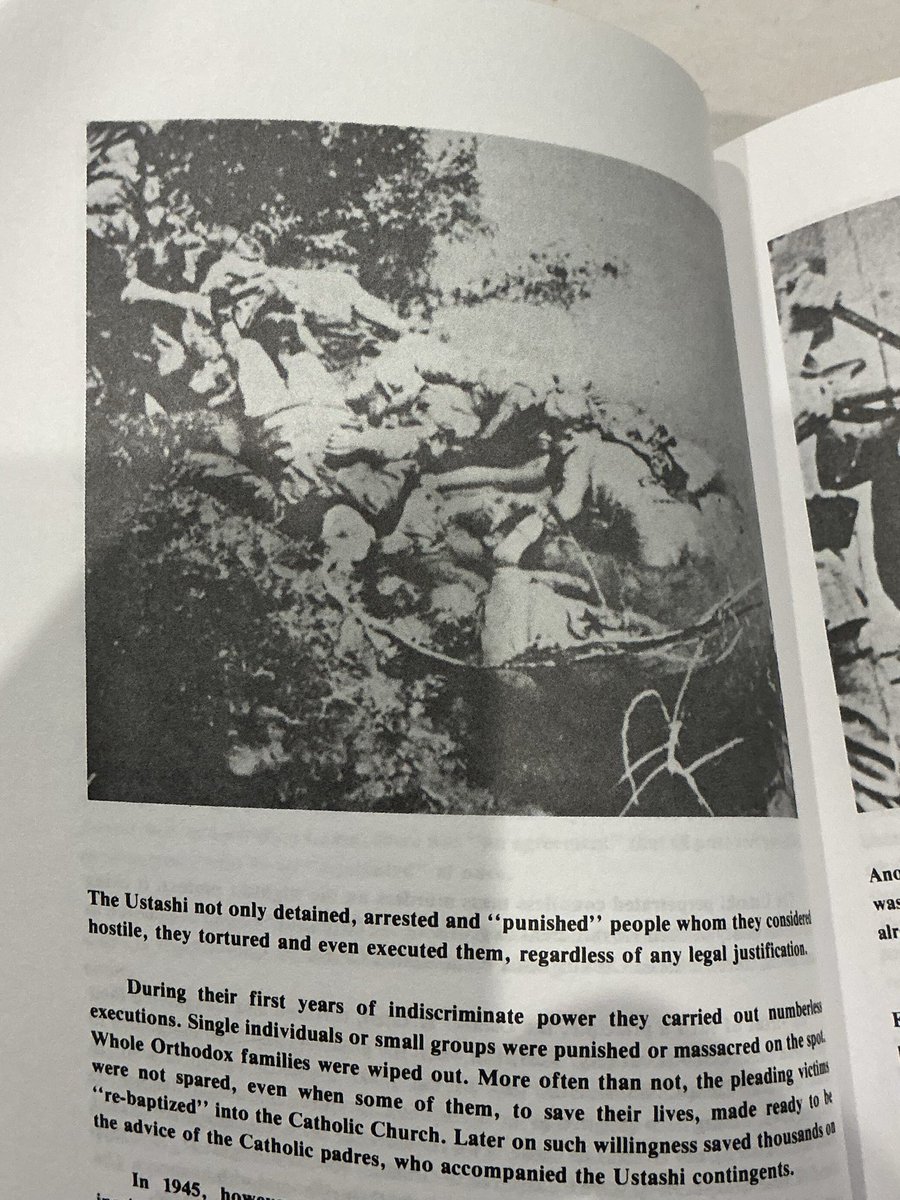 PSosnovsky's tweet photo. @CatholicDrip___ These examples blessed by Catholic drip 💧 sure look dead to me https://t.co/nELBR9kZHI