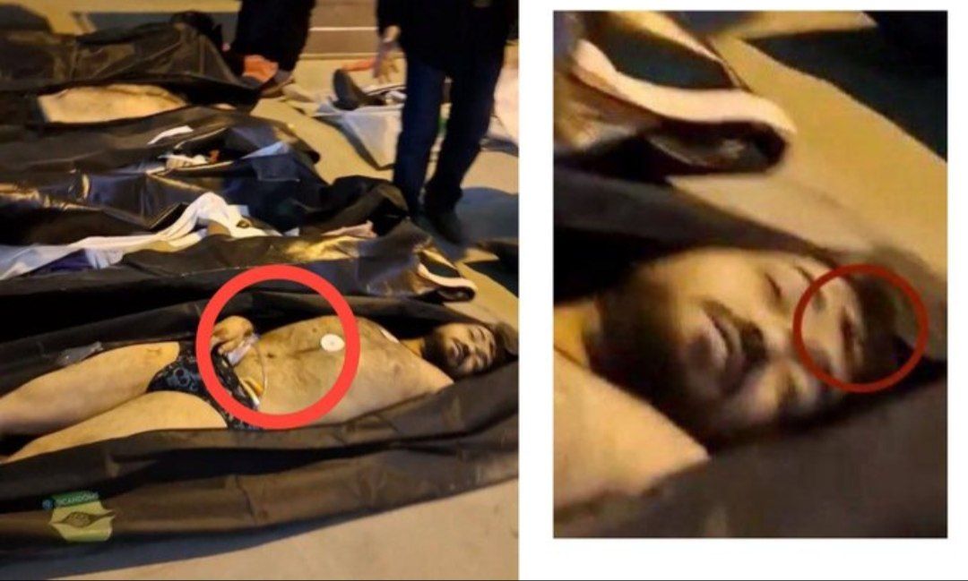امیدِ ایران tweet media