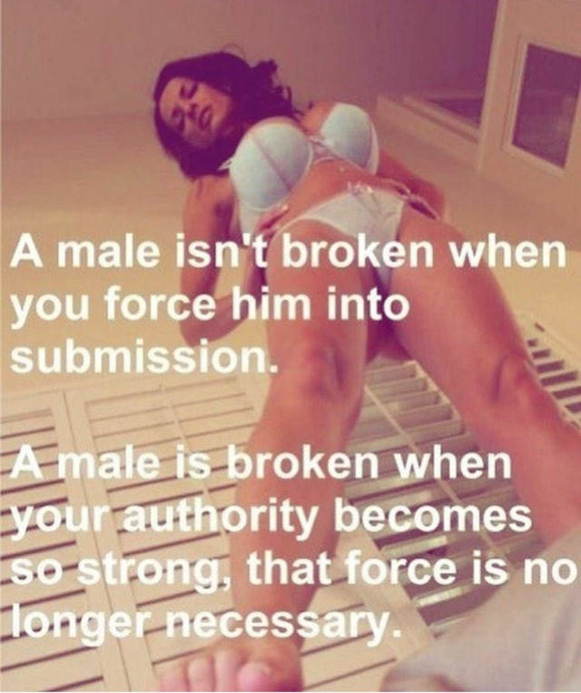 GirlTotalPower's tweet photo. Our female force is much more superior than male's one!
All the pleasure and power to women and girls!
Chastity and obedience for men!
Boys must be at our orders, pleasing us!
https://t.co/Mx5cQHoOqL
https://t.co/GfN8x2v8d4 https://t.co/2pRGWp02re