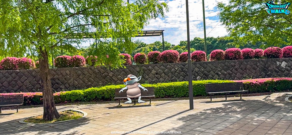 ShioYo's tweet photo. …あっちぃ
#ドラクエウォーク
#かいしんの一枚
#いやあっちぃよまだ6月だよ何考えてんの https://t.co/aEIa3DlwOB