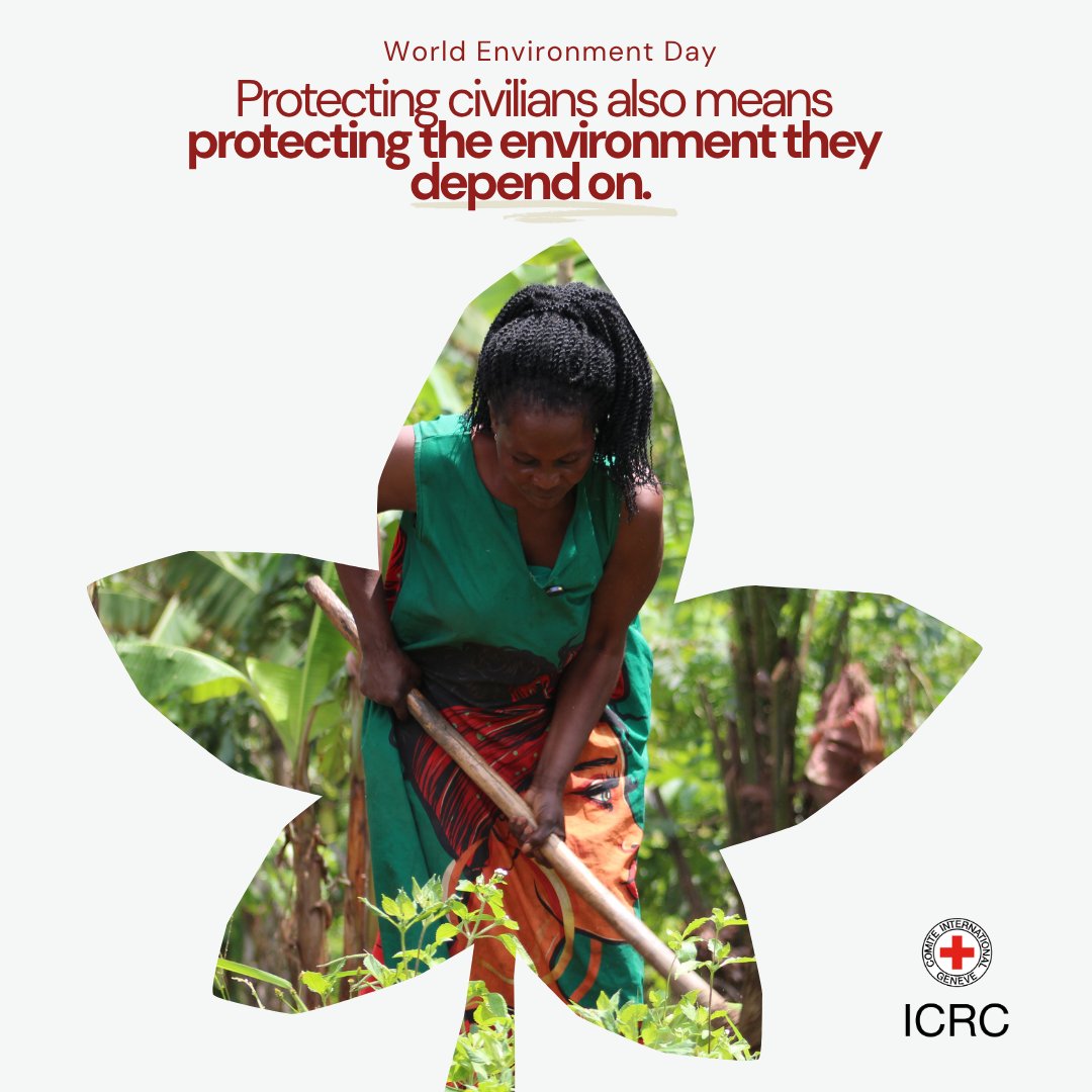 ICRC_Africa's tweet photo. The environment is often a silent casualty of war.

When water sources, farmland, and ecosystems are damaged, communities can lose far more than natural resources; they lose the foundations of their survival. #WorldEnvironmentDay 🍃

Learn more ➡️ https://t.co/Vt1NVQ0uXl https://t.co/DVEtiSU9BX
