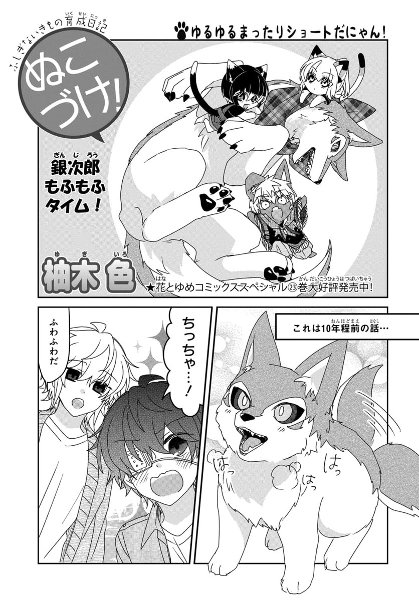 manga_park's tweet photo. #マンガPark で読める「#ぬこづけ！」368 匹目更新＆369匹目先読み！

これは銀次郎が家に来た時のお話......。

フリーターの悠哉と、不思議ないきもの"ぬこ"との、ゆるゆるまったりショート。

コミックス23巻好��発売中！

▼作品はこちらから
https://t.co/xbBBIxo7KH https://t.co/erLWXRX06U