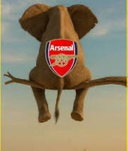 shxkxbabu's tweet photo. “one day elephant go climb tree and e no go gree come down”  - pete edochie 1998

good morning champions. if you no be champions, god go punish you. https://t.co/7qfMsfTJ6H