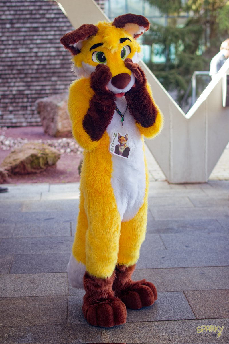 NicoFoxie's tweet photo. Shy #FursuitFriday 🦊💛

📸 @FoxGamer4live https://t.co/sVN7CMQKFO