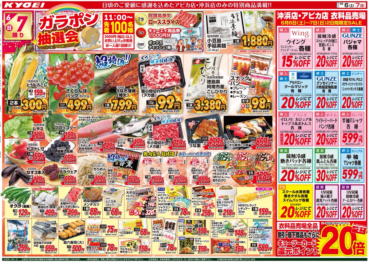 激安ショップページ 2026年6月6日（土）広告チラシ 『アピカ店・沖浜店 誕生祭』