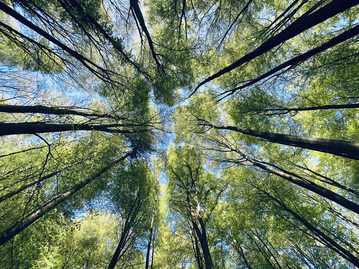 andredonker's tweet photo. Dat mensen vanwege #wolven de natuur niet meer zouden in gaan is onzin gebleken. De recreatie en het toerisme blijft groeien met 2,5%. Circa 112 miljard euro en 770.000 banen maakt een waarde van 4%  Nationale economie. https://t.co/PUmseqUbNQ