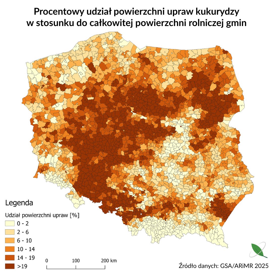 SatAgroPL's tweet photo. [1/4] Wzięliśmy pod lupę 🔍 miliony działek rolnych! 🚜

Na podstawie najświeższych danych o uprawach 🌱 (GSA/ARiMR 2025) wygenerowaliśmy precyzyjne kartogramy 🗺️ pokazujące, jaką część powierzchni rolniczej w polskich 🇵🇱 gminach zajmują wybrane uprawy: https://t.co/Hl1LCe95Ay