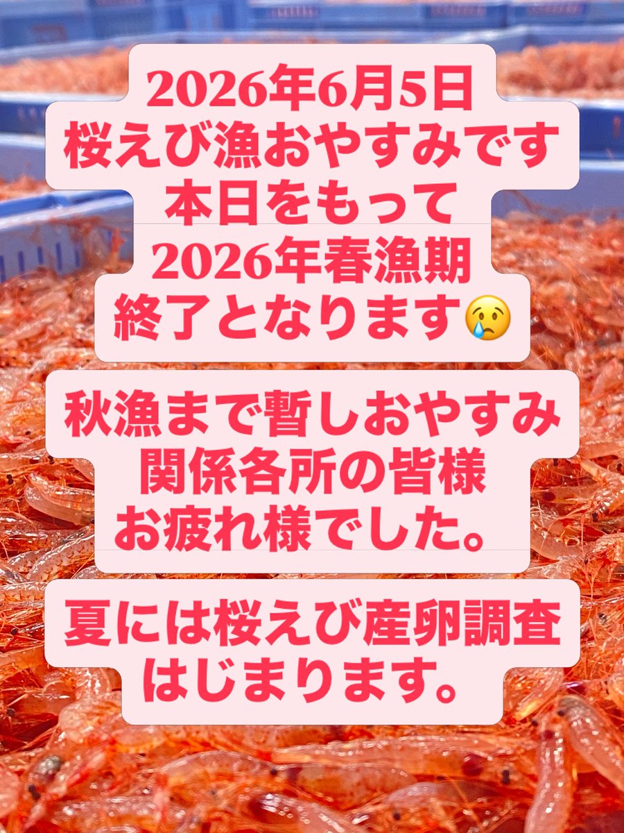yui_sakuraebi's tweet photo. 2026年6月5日
桜えび漁おやすみです。
春漁終了になります。

関係各所の皆様
お疲れ様でした！
来期もよろしくお願い致します

#桜えび https://t.co/FKl02v8b3x