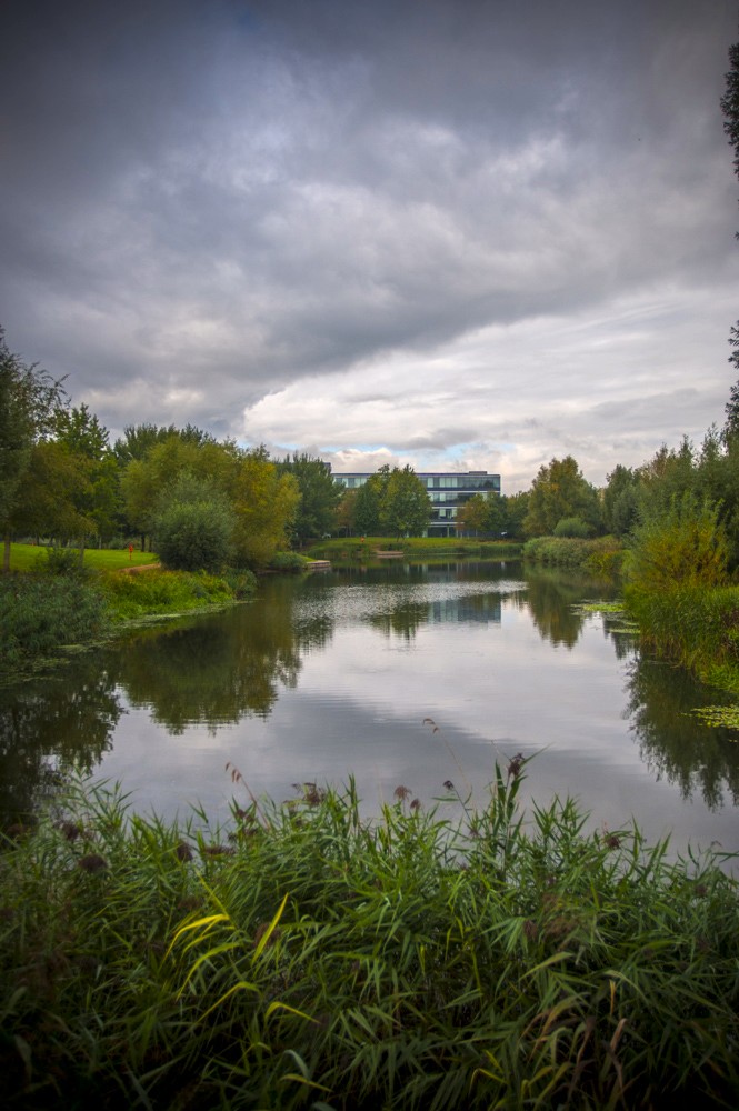QSLandscaping's tweet photo. This #WorldEnvironmentDay we're calling for a #naturalrevolution. Glyphosate is still legally used across our landscapes, found to cause multiple cancer in humans. Q&amp;S are proud to be 100% chemical-free from #day1. Choose Nature.
#ChemicalFree #Glyphosate #Biodiversity https://t.co/sDAduibkKv