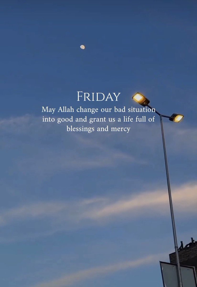 ctisha07's tweet photo. Salam Jumaat 🤍

Let today be soft and silly it’s Friday, not a battle. 🫶🏽
Friday’s energy is like sunshine for the soul. 🌞

Finding some books to read. And i found one. It’s Meow 🐈‍⬛ https://t.co/VxBKKbzKLI
