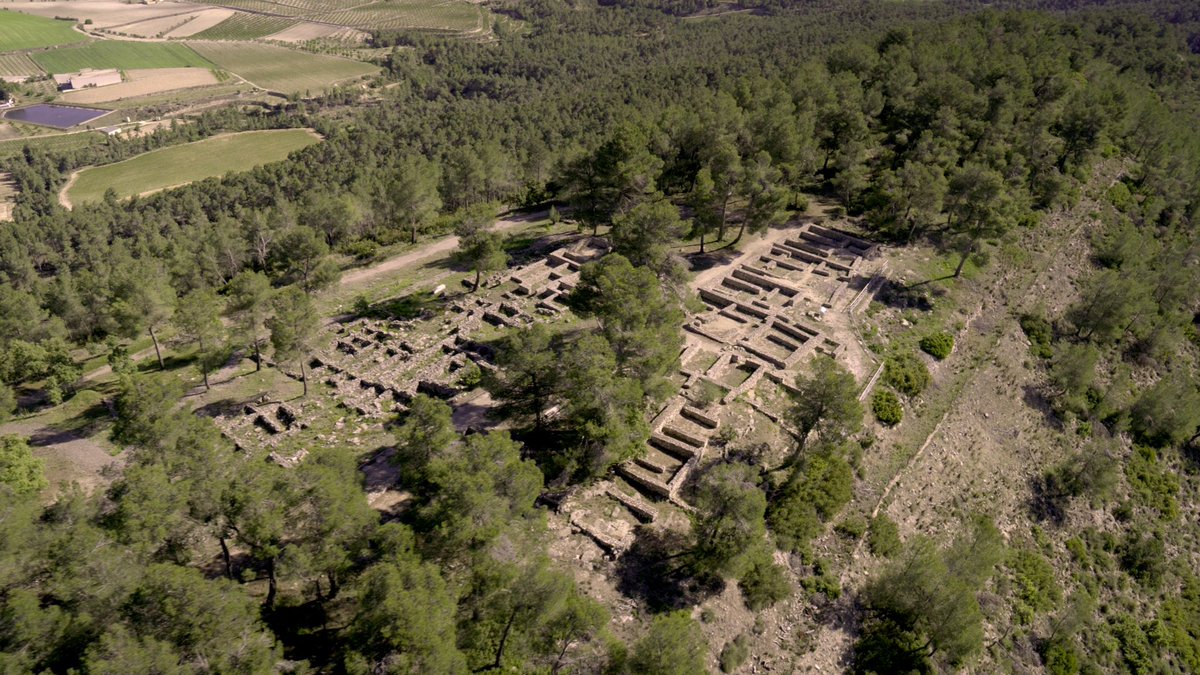 muprevalencia's tweet photo. 🏺🌳 Per al hashtag #MuseosPorElPlanetaMW hui parlem de la importància d'integrar la preservació dels paisatges i el medi ambient en la valorització del patrimoni arqueològic

I ho fem a través d'un dels nostres jaciments més emblemàtics: La #BastidaDeLesAlcusses 🏇🗡️

(1/5)👇 https://t.co/1HVnsxhimG