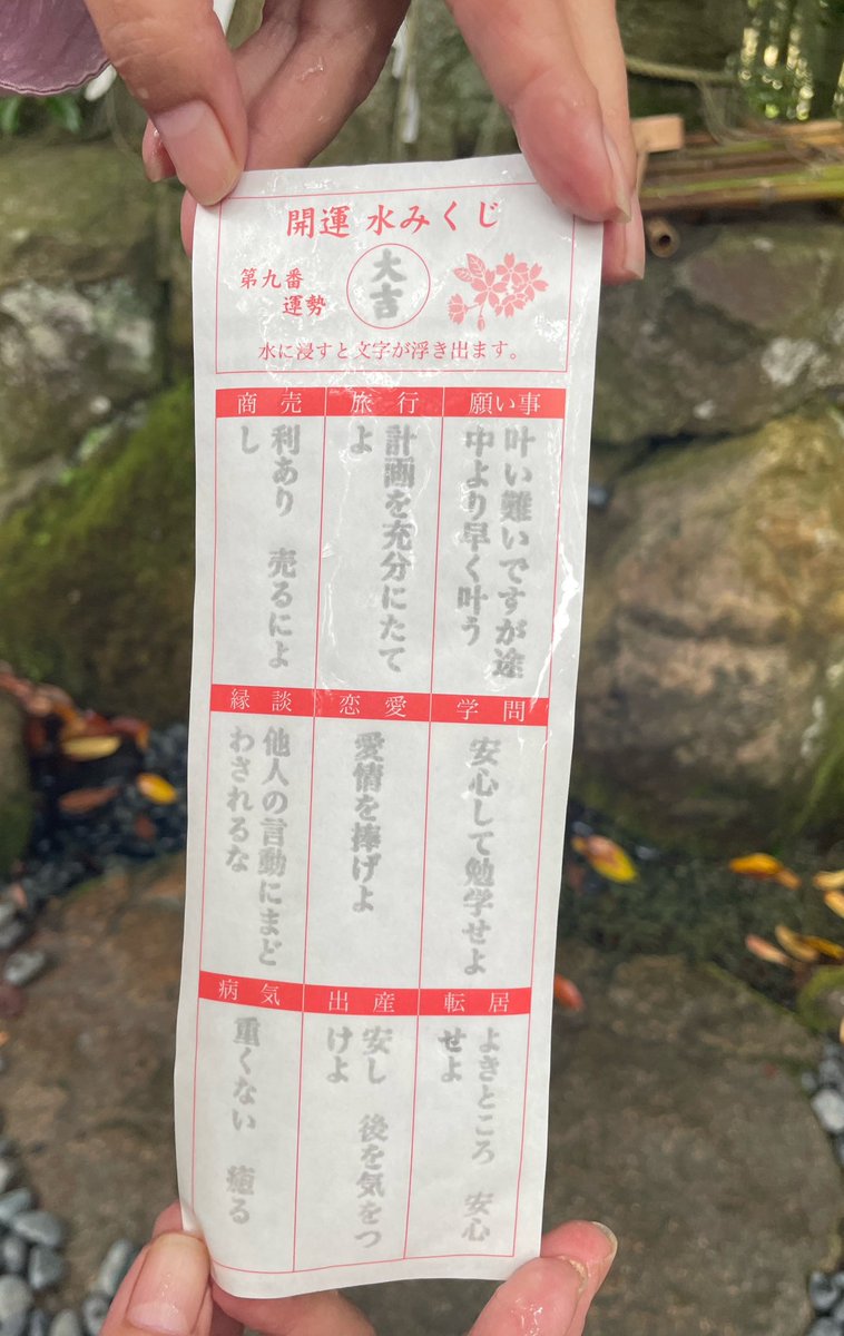 sattonn9's tweet photo. 宮津　籠神社奥宮「真名井神社」

もの凄くエネルギーが高い場所だそう
参拝中の方から不思議なお話を伺いました

確かに、独特の空気感がありました✨

「水みくじ」
お水に浸すと、文字が浮き出てきます。 https://t.co/xpHCFBcsqv