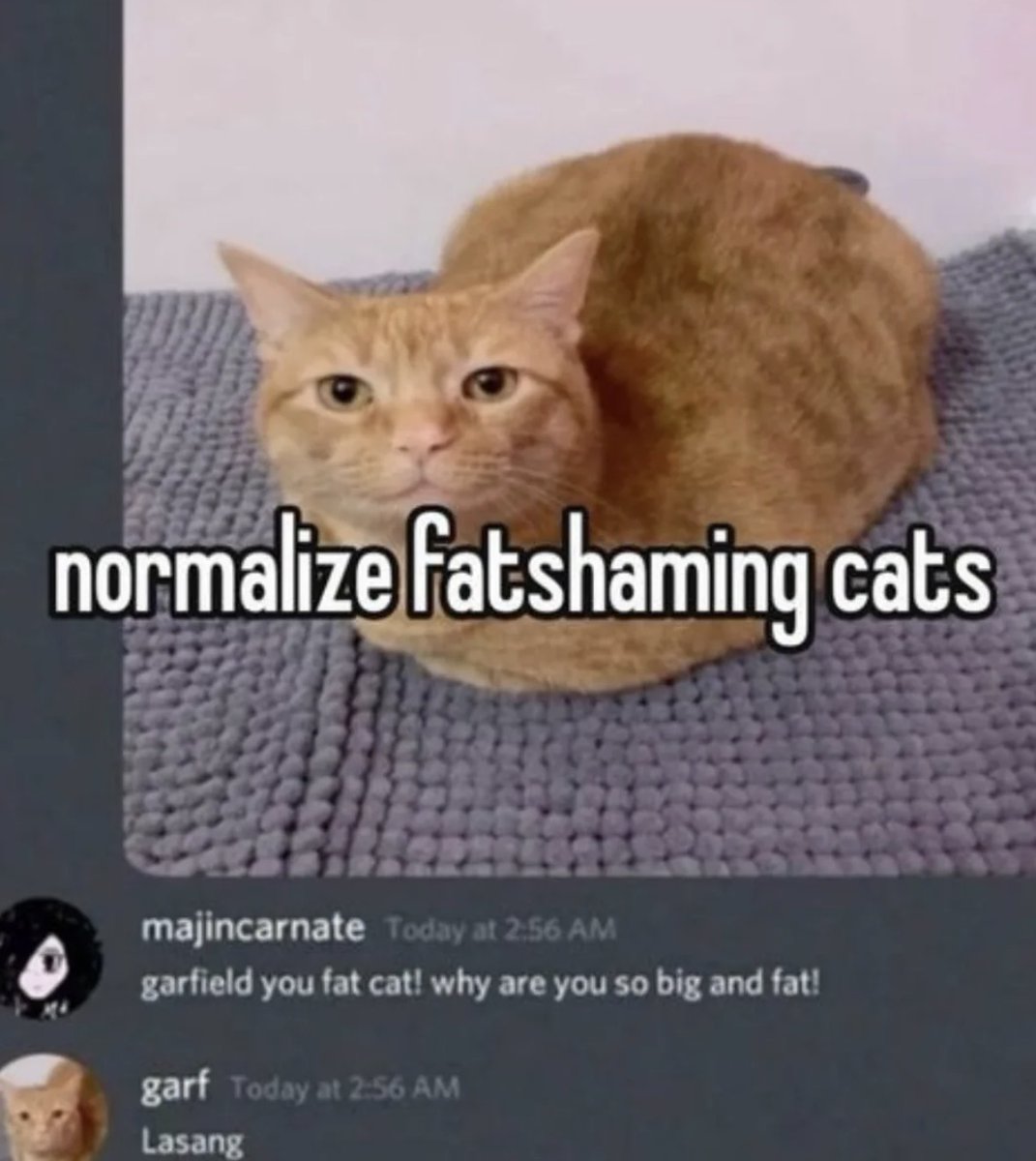 RespectfulMemes's tweet photo. https://t.co/F3uJJLAl9l