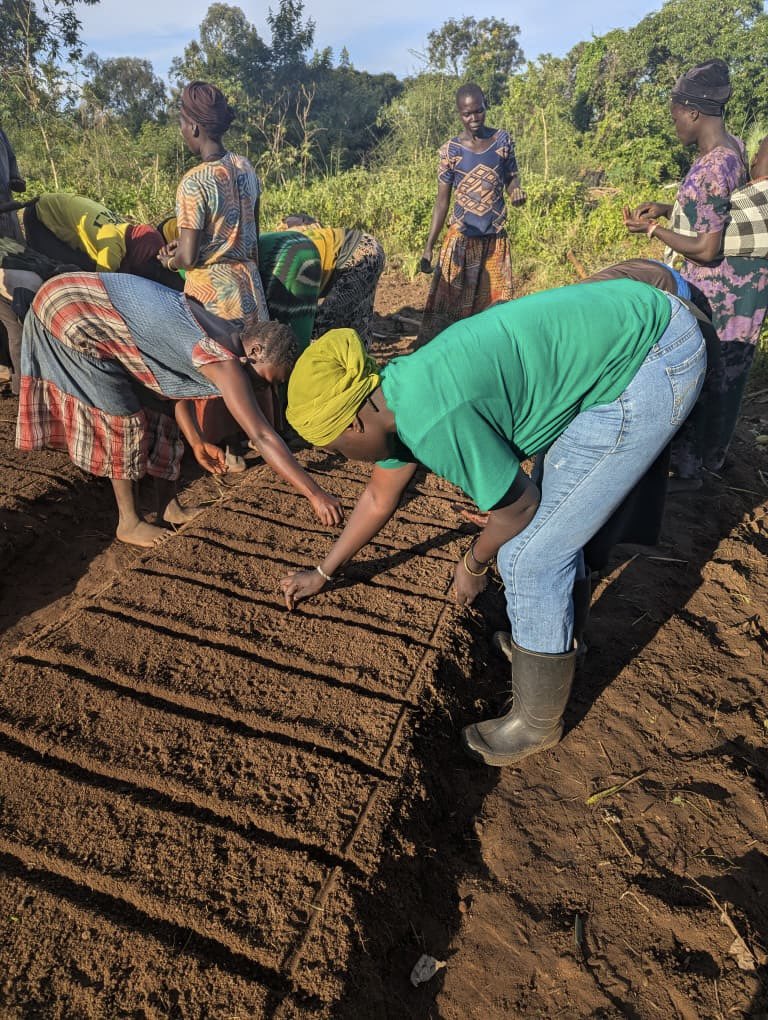 OmiaLtd's tweet photo. Every seed planted today is tomorrow’s abundance!

Who else feels called to the garden but is still procrastinating? 

We see you and this is your sign to get hands dirty in the soil, heart rooted in hope.

Good morning ☀️💚

#Farmersfirst #SustainableAgriculture https://t.co/S6z0OrunDK