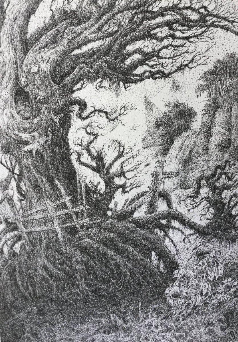 Einarbaldvii's tweet photo. 'The Voodo Forest' by John Blanche. https://t.co/8TCNCaOs5V