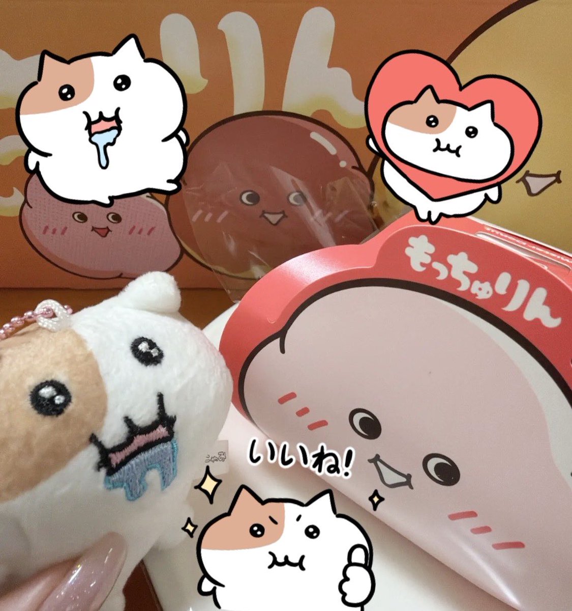mochiokachu's tweet photo. 有岡くん、もっちゅりんって言ってー🍩 https://t.co/1ShGk5795q
