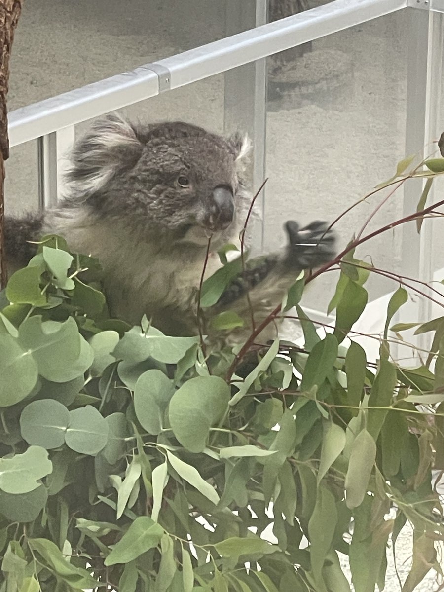 avachara's tweet photo. 猛暑になる前に、園児くらいの子連れ家族におすすめ！

ぶらねた淡路島：親子で一日遊べる イングランドの丘 https://t.co/39MzVsTf7R https://t.co/pm1gJ4x0N9