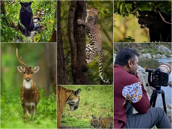 darshanGaja8055's tweet photo. ಪ್ರಕೃತಿ ನಮ್ಮ ಬದುಕಿನ ಭಾಗವಲ್ಲ ,
ನಾವು ಪ್ರಕೃತಿಯ ಒಂದು ಭಾಗವಷ್ಟೇ..
#WorldEnvironmentalDay2026 
#DBoss #BossofSandalWood https://t.co/g4oPltSkLh