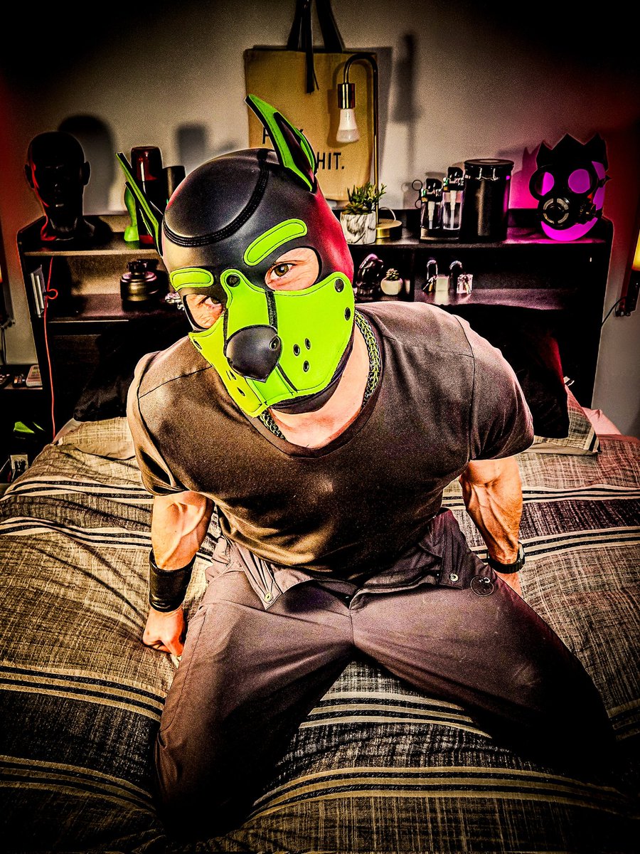 puprustymm's tweet photo. I'm on my bed. 
Mine. 
Lime green. Black. 
You feel it.
Mask makes me sharper, present, in control.
Some play. 
Some breathe. 
Some want held tighter.
I read lines. I adjust. I guide.
Slow or control?
Come talk. 
I'm listening.
— Rusty Moon 🌙🐕💚
#PupPlay #GentleDom #RustyMoon https://t.co/JgS5OnpUDy