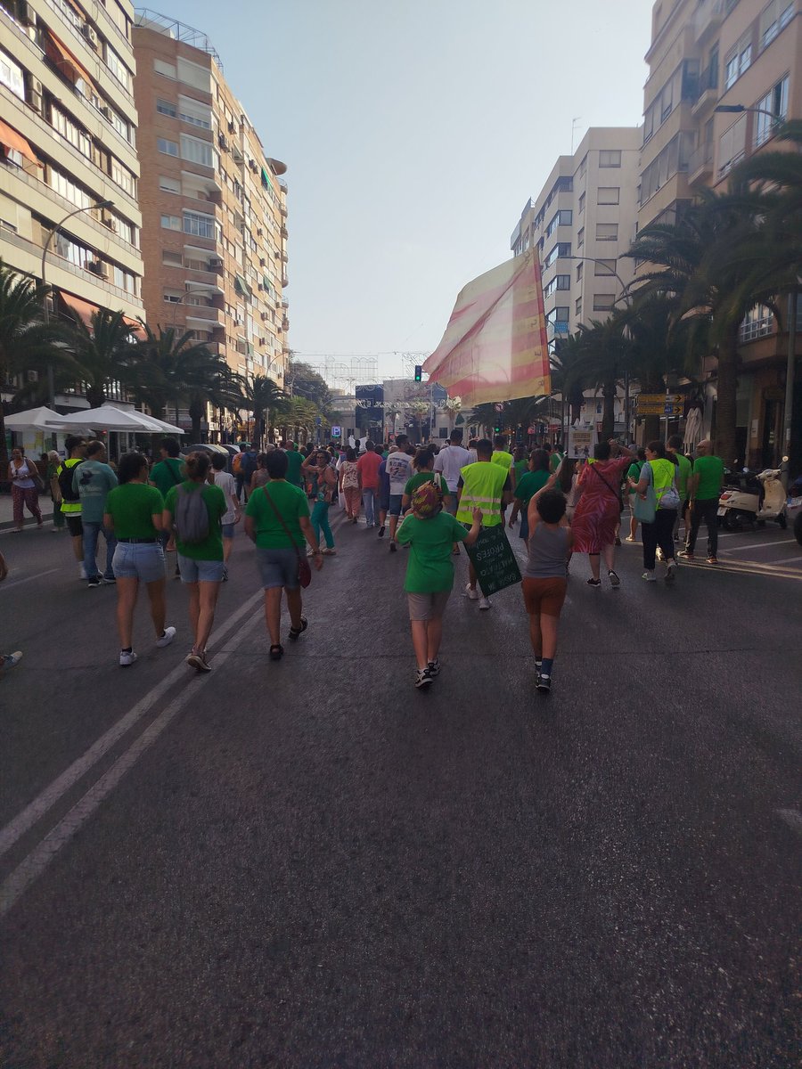 Decidim l'Alacantí-Vinalopó tweet media