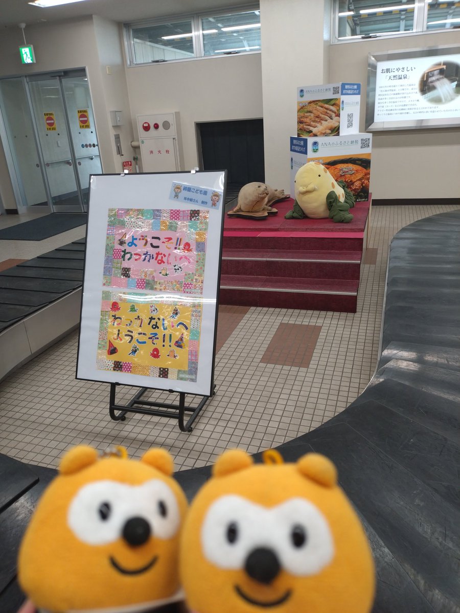 piro_rinrinrin's tweet photo. 稚内空港着✈️ https://t.co/Om86Yv2NaC