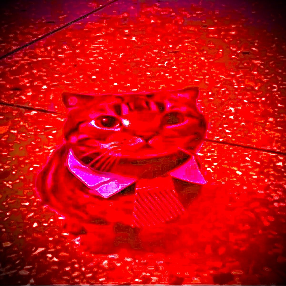 𝔐𝔞𝔱𝔱༒ ⋰ tweet media