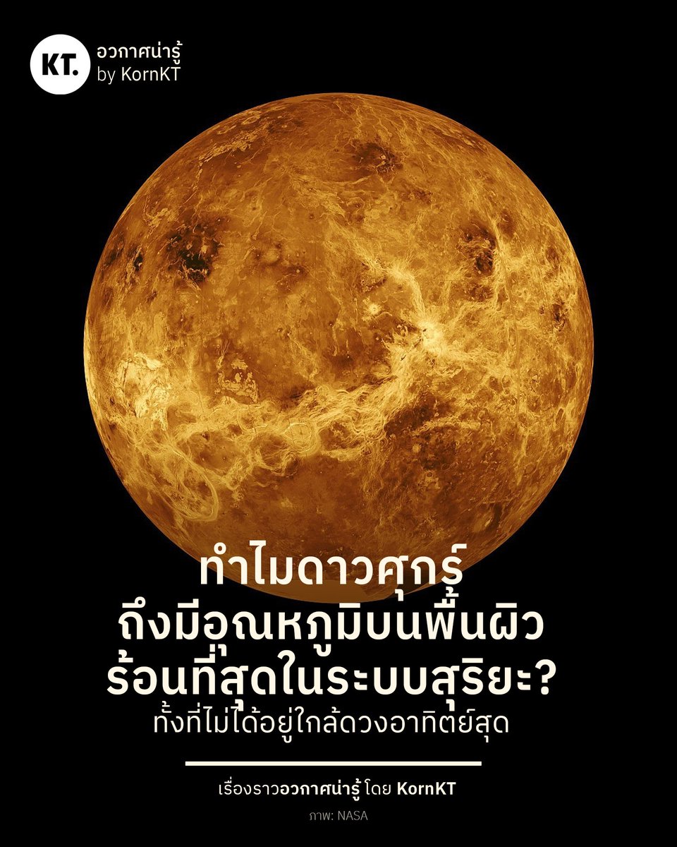 kornkt's tweet photo. ไขข้อสงสัย ทำไมดาวศุกร์ถึงมีอุณหภูมิบนพื้นผิวสูงถึง 464 องศาเซลเซียส และเป็นดาวเคราะห์ที่ร้อนที่สุดในระบบสุริยะ ทั้งที่ไม่ได้อยู่ใกล้ดวงอาทิตย์ที่สุด?

หลายคนอาจรู้จักดาวศุกร์ในฐานะ 'ดาวเคราะห์ฝาแฝดของโลก' เพราะเป็นดาวเคราะห์หินที่มีขนาดและมวลใกล้เคียงกัน มีชั้นบรรยากาศหนาแน่น และโคจรอยู่ในเขต Habitable Zone (เขตที่อาจพบน้ำในรูปของเหลวบนพื้นผิว) รอบดวงอาทิตย์

ทว่าสภาพแวดล้อมบนดาวศุกร์นั้นต่างจากบนโลกของเราอย่างสุดขั้ว จนเกิดเป็นคำถามว่า... มันร้อนขนาดนี้ได้อย่างไร?

ดาวศุกร์นั้นอยู่ห่างจากดวงอาทิตย์เฉลี่ยประมาณ 108 ล้านกิโลเมตร ไกลกว่าระยะห่างเฉลี่ยของดาวพุธ (58 ล้านกิโลเมตร) ประมาณสองเท่า แต่เนื่องจากดาวศุกร์มีบรรยากาศที่หนาแน่น ในขณะที่ดาวพุธนั้นแทบไม่มีชั้นบรรยากาศเลย จึงไม่สามารถกักเก็บความร้อนจากดวงอาทิตย์ไว้บนพื้นผิวของดาว

บรรยากาศของดาวศุกร์นั้นประกอบด้วยคาร์บอน ไดออกไซด์สูงถึง 96.5% โดยคาร์บอน ไดออกไซด์เป็นก๊าซเรือนกระจก ที่กักเก็บความร้อนไว้ในบรรยากาศดาวได้เป็นอย่างดี จนทำให้เกิดสภาวะเรือนกระจกแบบกู่ไม่กลับ บนพื้นผิวดาวศุกร์นั้นมีอุณหภูมิสูงถึง 464 องศาเซลเซียส ทั้งในด้าน��ลางวันและกลางคืนของดาว

ในขณะที่โลกของเรา อยู่ห่างจากดวงอาทิตย์ประมาณ 150 ล้านกิโลเมตร และมีบรรยากาศที่ประกอบด้วยไนโตรเจนเป็นหลัก (78%) มีคาร์บอนไดออกไซด์น้อยกว่าในบรรยากาศดาวศุกร์ประมาณ 2,000 เท่า ทำให้อุณหภูมิเฉลี่ยของโลกอยู่ที่ 15 องศาเซลเซียส อบอุ่นกำลังพอดีให้มนุษย์อาศัยอยู่ได้นั่นเอง

#KornKT #อวกาศน่ารู้