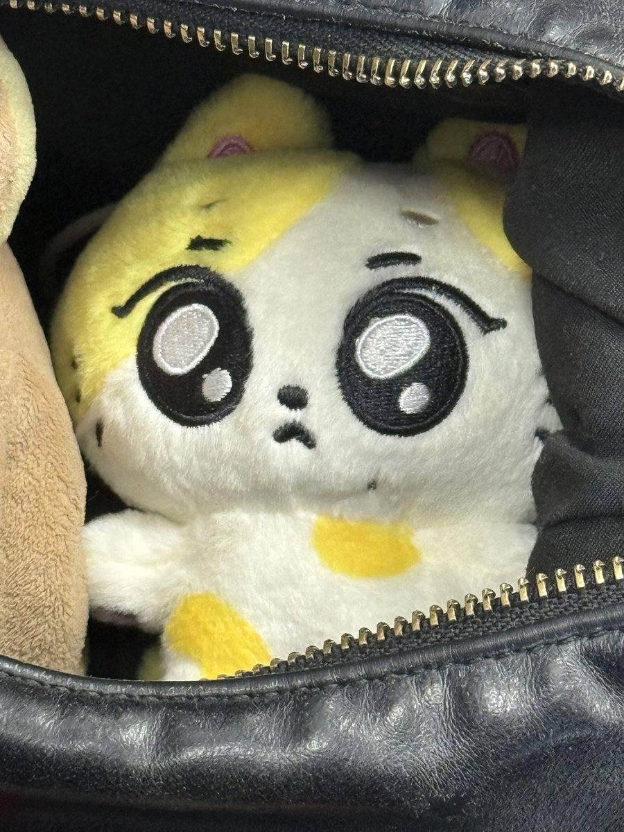 블루_ u — ⋆˚ ᴥ︎ ❄︎ tweet media