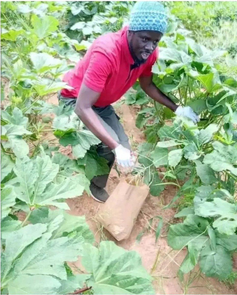 AfricFree's tweet photo. @Nath_Yamb @ag_kokouvi Là où le petit parvenu du Sénégal a fait une trentaine dont 3 en moins de 18 mois chez ses nouveaux maîtres 🇫🇷afin d'être initié pr venir trahir la lutte souverainiste de Pastef.
Le temps c'est le meilleur témoin de l'homme intègre
LE GAIN DE LA TRAHISON est RAPIDE MAIS LE POIDS https://t.co/h4nidW7oX8