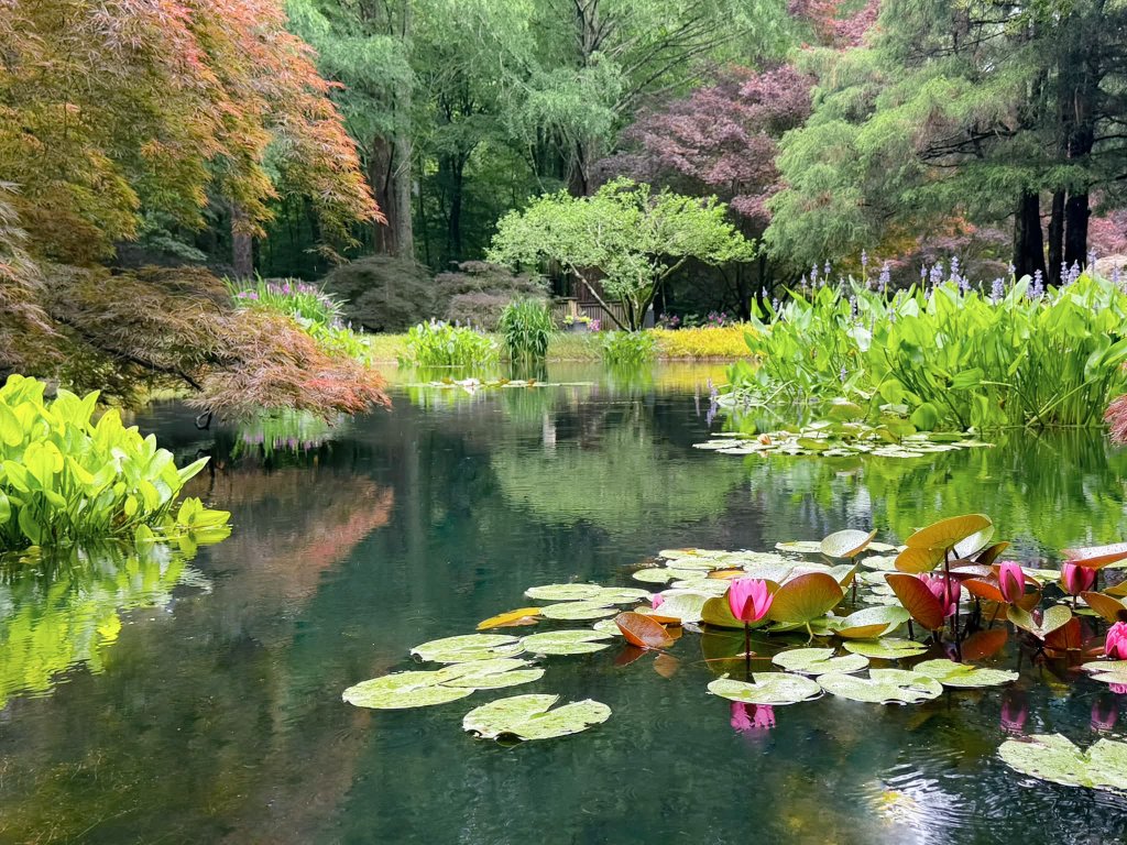 DarkwaveDoll's tweet photo. What my dreams look like just btw https://t.co/uEN44Myr6A