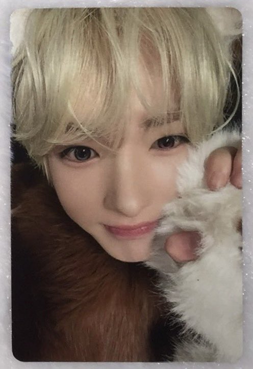 버터 tweet media